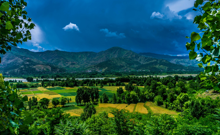 images/trending/Kashmir Tour Package 6 Nights 7 Days.png